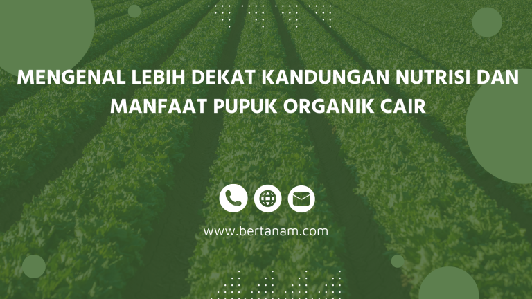 Mengenal Lebih Dekat Kandungan Nutrisi Dan Manfaat Pupuk Organik Cair