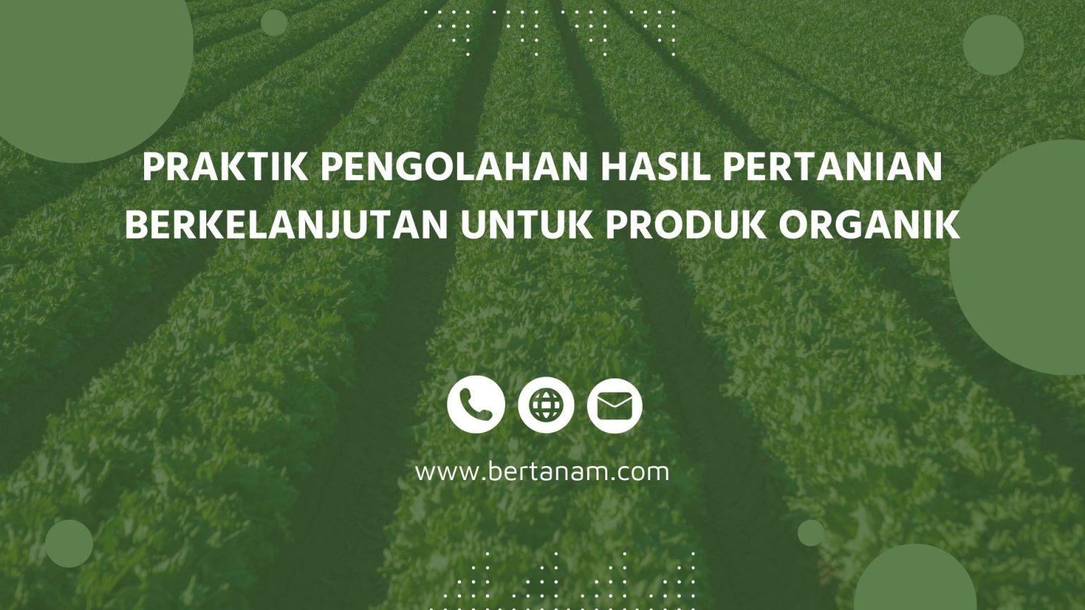 Praktik Pengolahan Hasil Pertanian Berkelanjutan Untuk Produk Organik