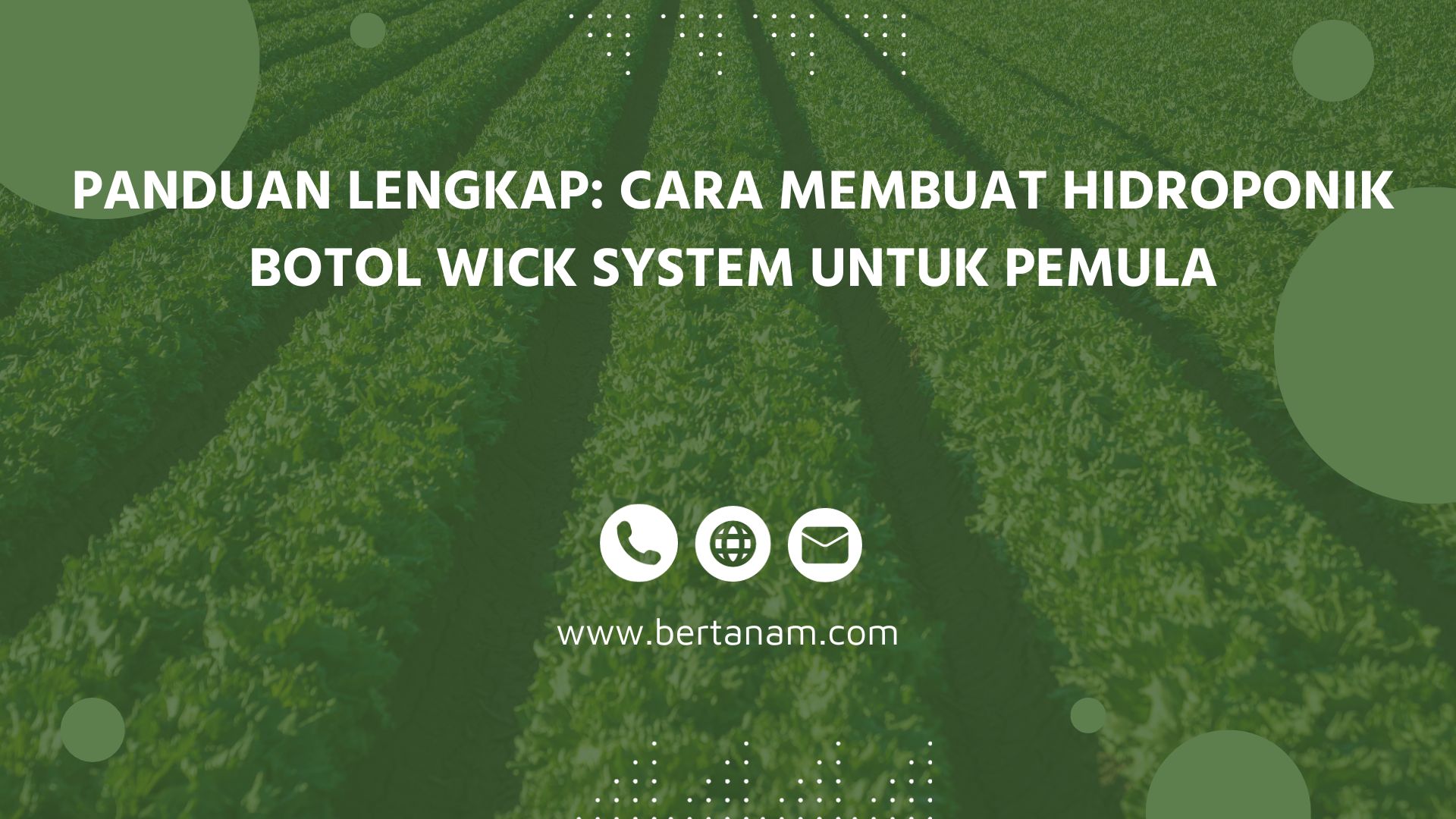 Panduan Lengkap Cara Membuat Hidroponik Botol Wick System Untuk Pemula Bertanam