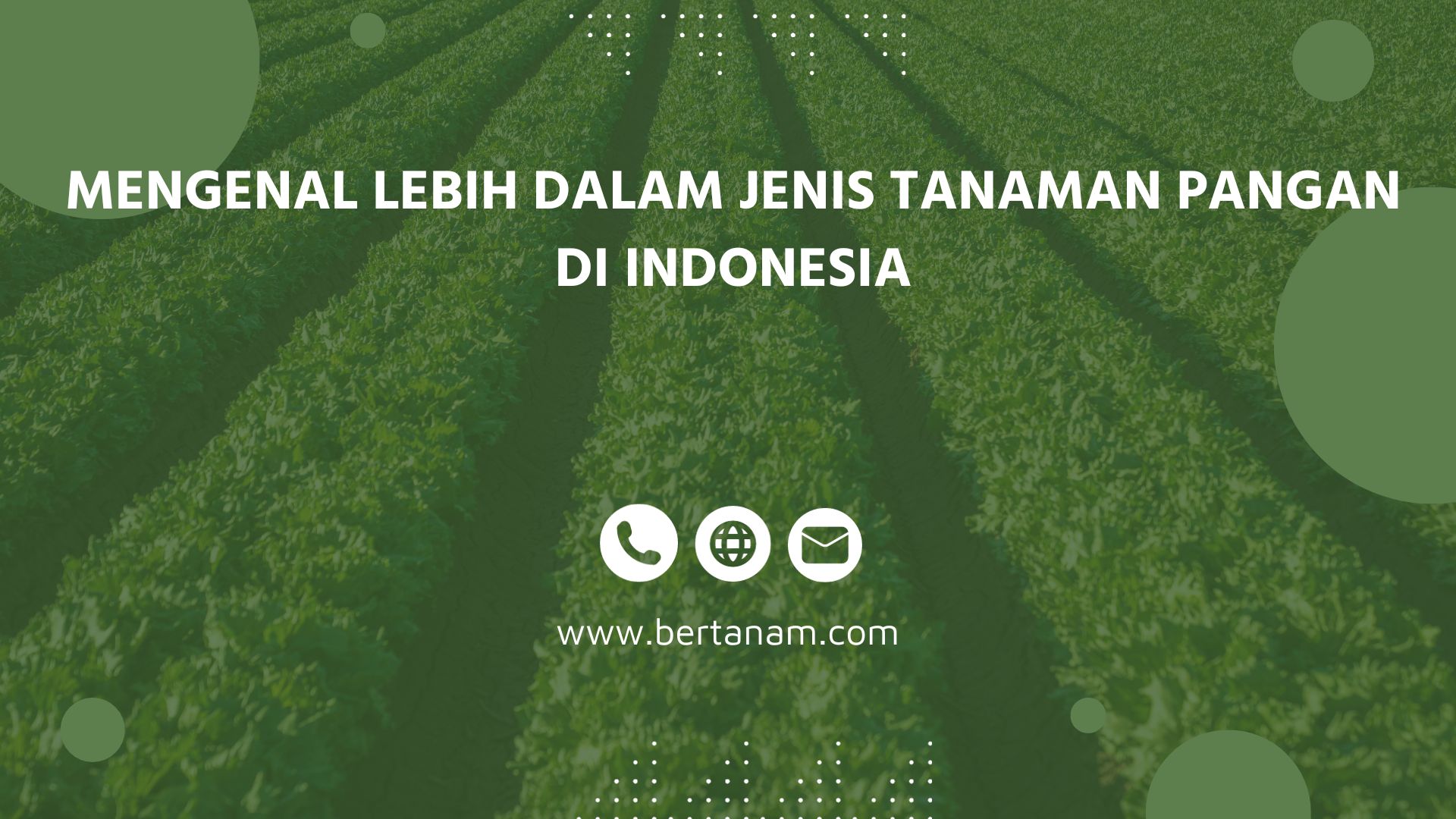 Mengenal Lebih Dalam Jenis Tanaman Pangan Di Indonesia Bertanam