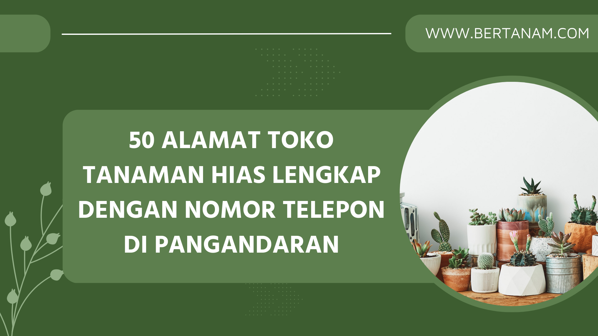 50 Alamat Toko Tanaman Hias Lengkap Dengan Nomor Telepon Di Pangandaran Bertanam 8356