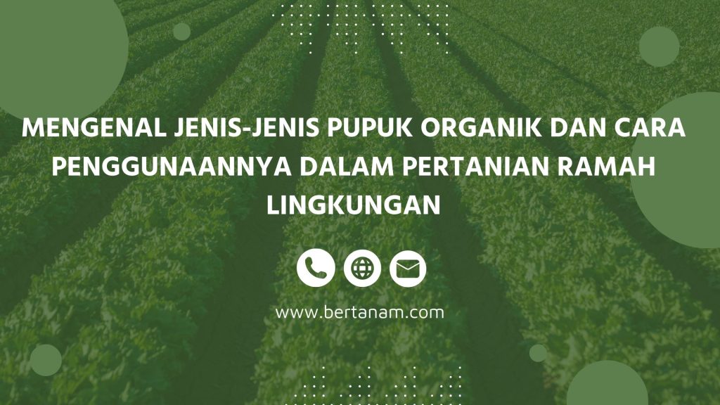 Mengenal Jenis-Jenis Pupuk Organik Dan Cara Penggunaannya Dalam ...