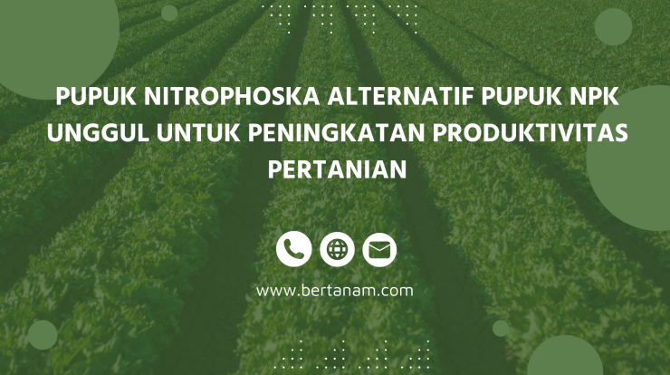 Pupuk Nitrophoska Alternatif Pupuk NPK Unggul Untuk Peningkatan ...