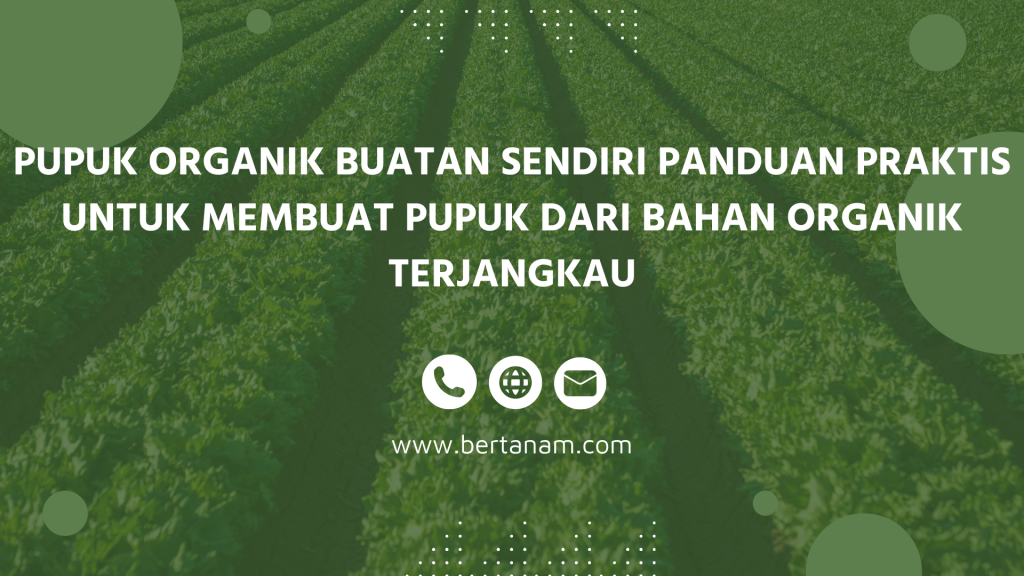 Pupuk Organik Buatan Sendiri Panduan Praktis Untuk Membuat Pupuk Dari