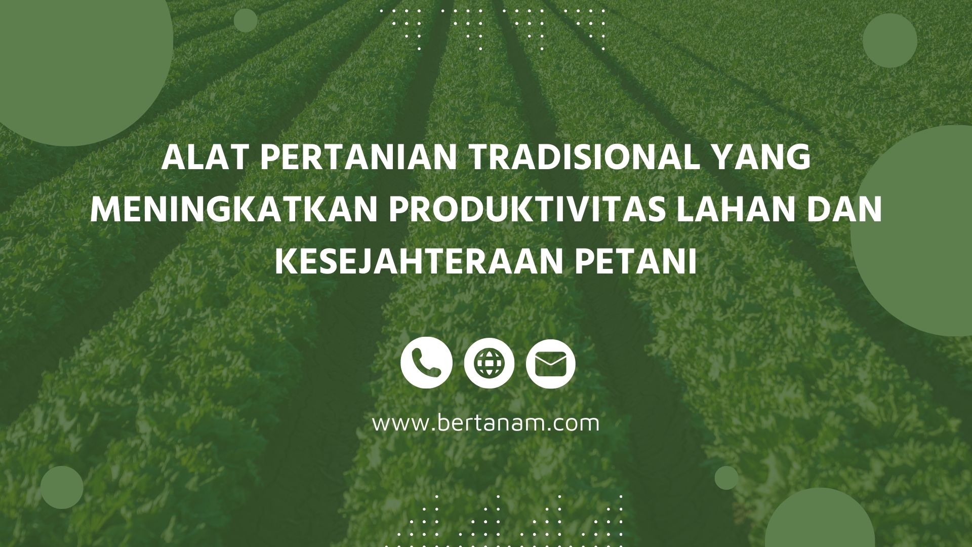 Tips Memilih Alat Pertanian yang Efisien: Meningkatkan Produktivitas dan Mengurangi Biaya