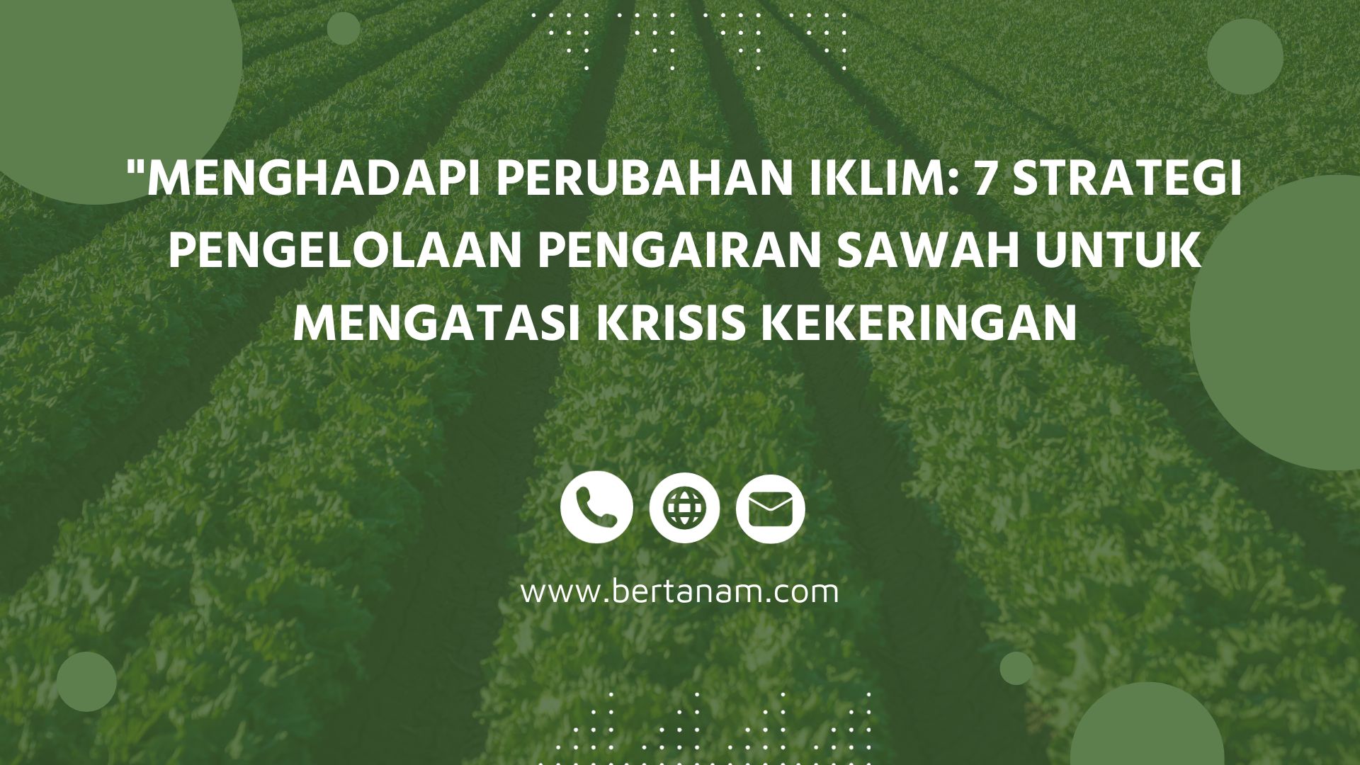 Menghadapi Perubahan Iklim: 7 Strategi Pengelolaan Pengairan Sawah ...