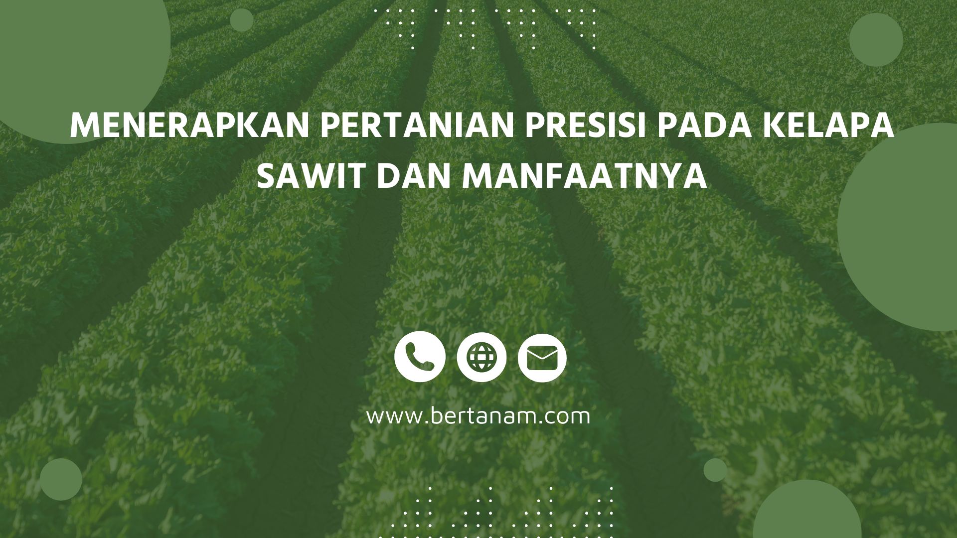 Menerapkan Pertanian Presisi Pada Kelapa Sawit Dan Manfaatnya - Bertanam