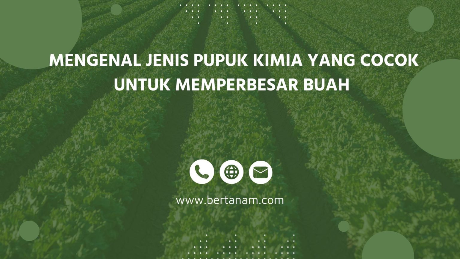 Mengenal Jenis Pupuk Kimia Yang Cocok Untuk Memperbesar Buah - Bertanam