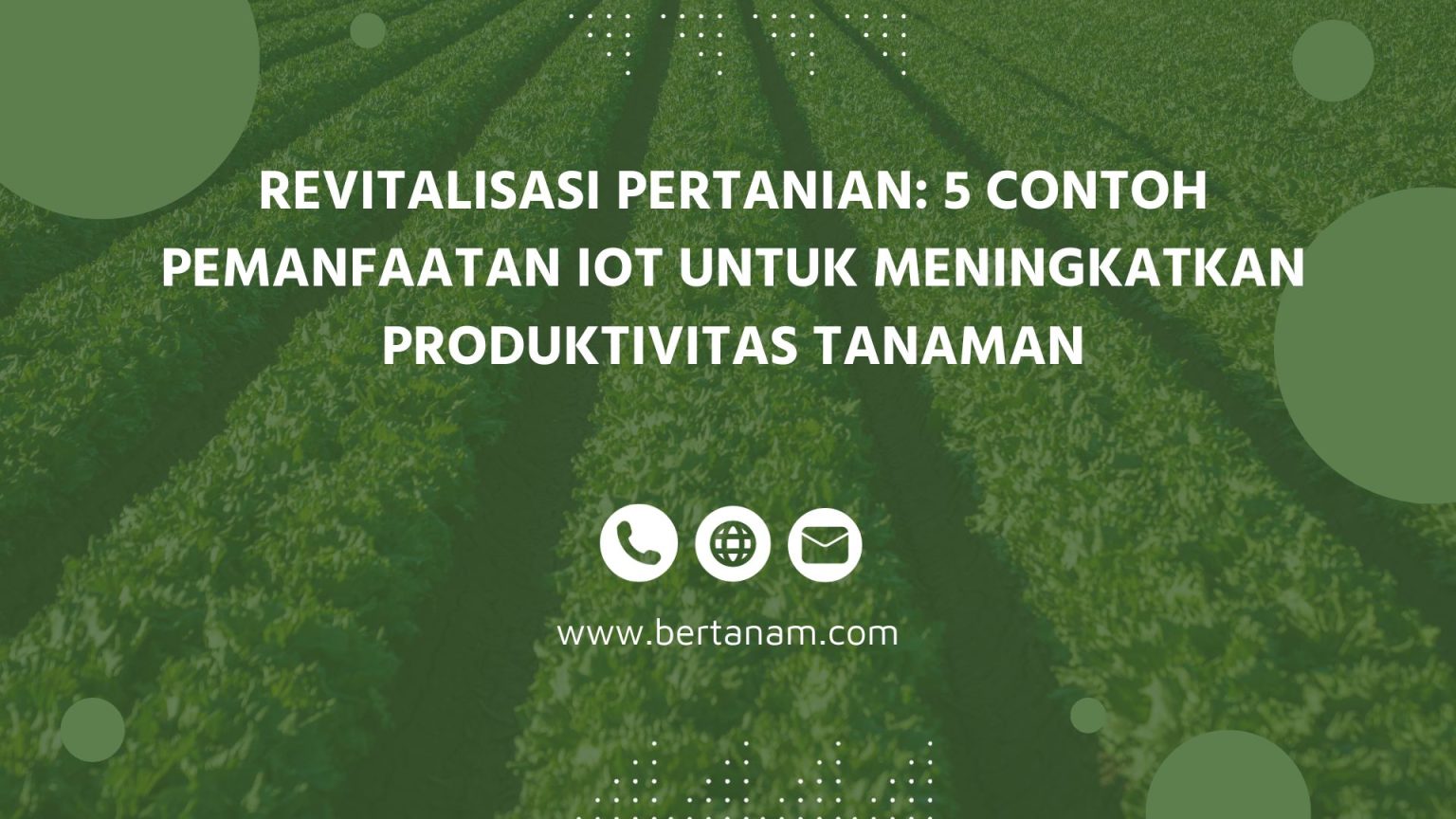 Revitalisasi Pertanian: 5 Contoh Pemanfaatan IoT Untuk Meningkatkan ...