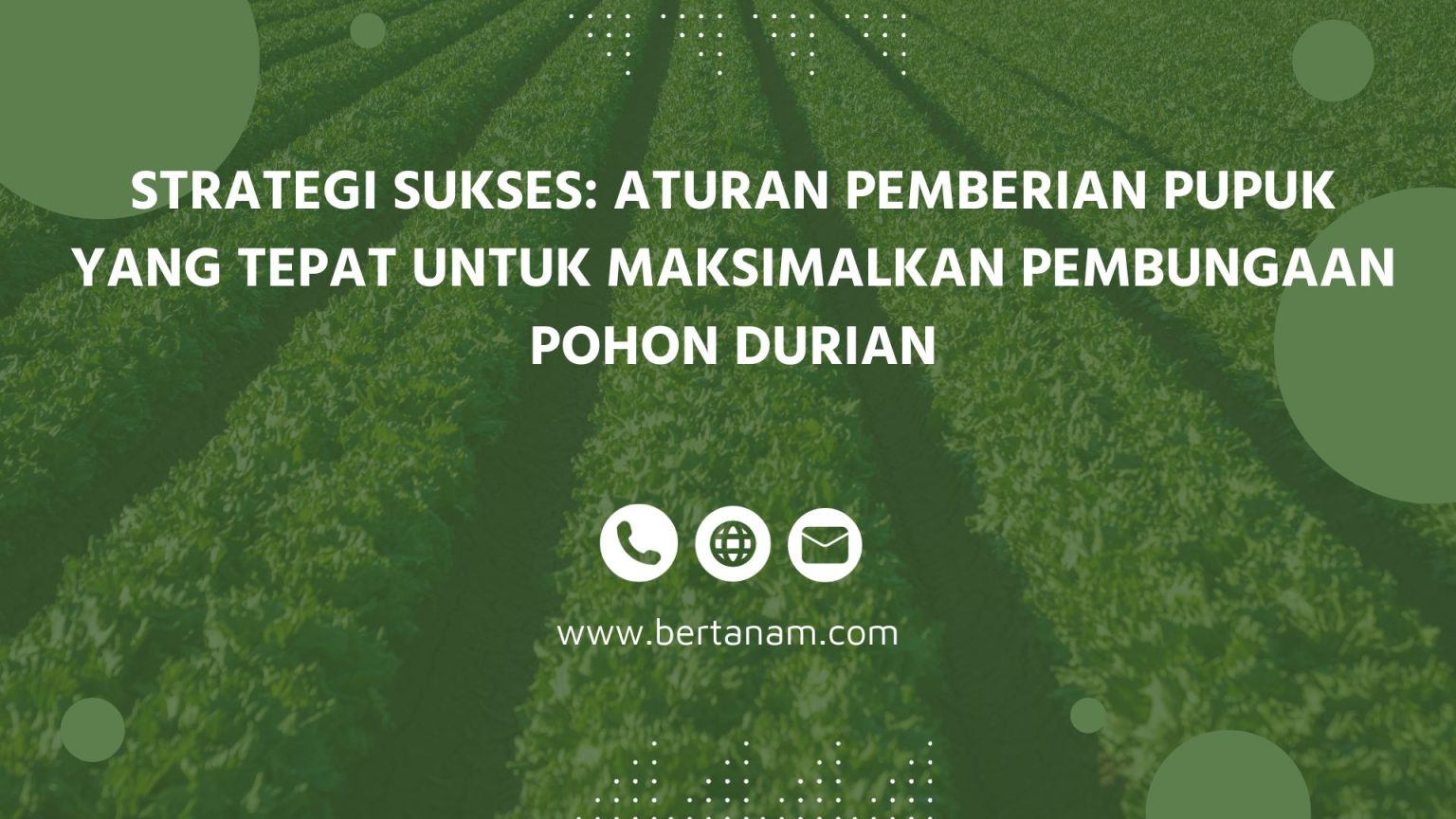 Strategi Sukses: Aturan Pemberian Pupuk Yang Tepat Untuk Maksimalkan ...