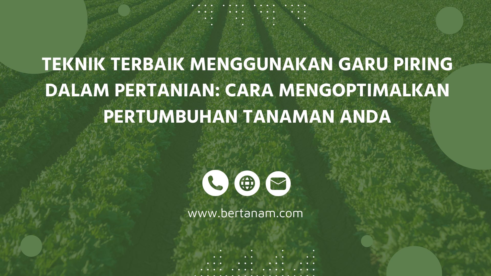 Teknik Terbaik Menggunakan Garu Piring Dalam Pertanian: Cara ...