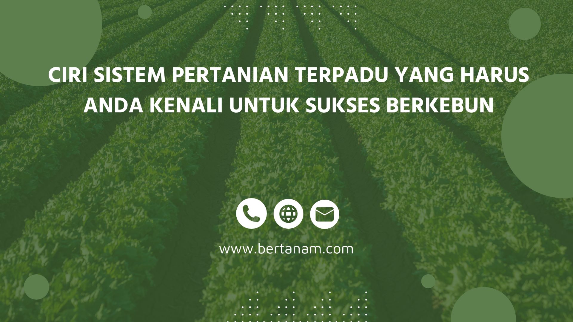 Ciri Sistem Pertanian Terpadu Yang Harus Anda Kenali Untuk Sukses Berkebun Bertanam