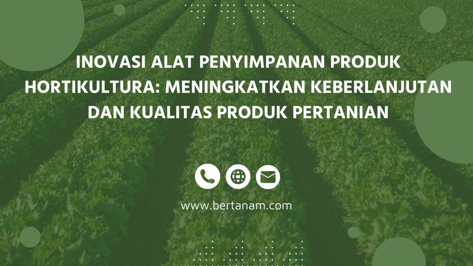 Inovasi Alat Penyimpanan Produk Hortikultura Meningkatkan Keberlanjutan Dan Kualitas Produk 3989