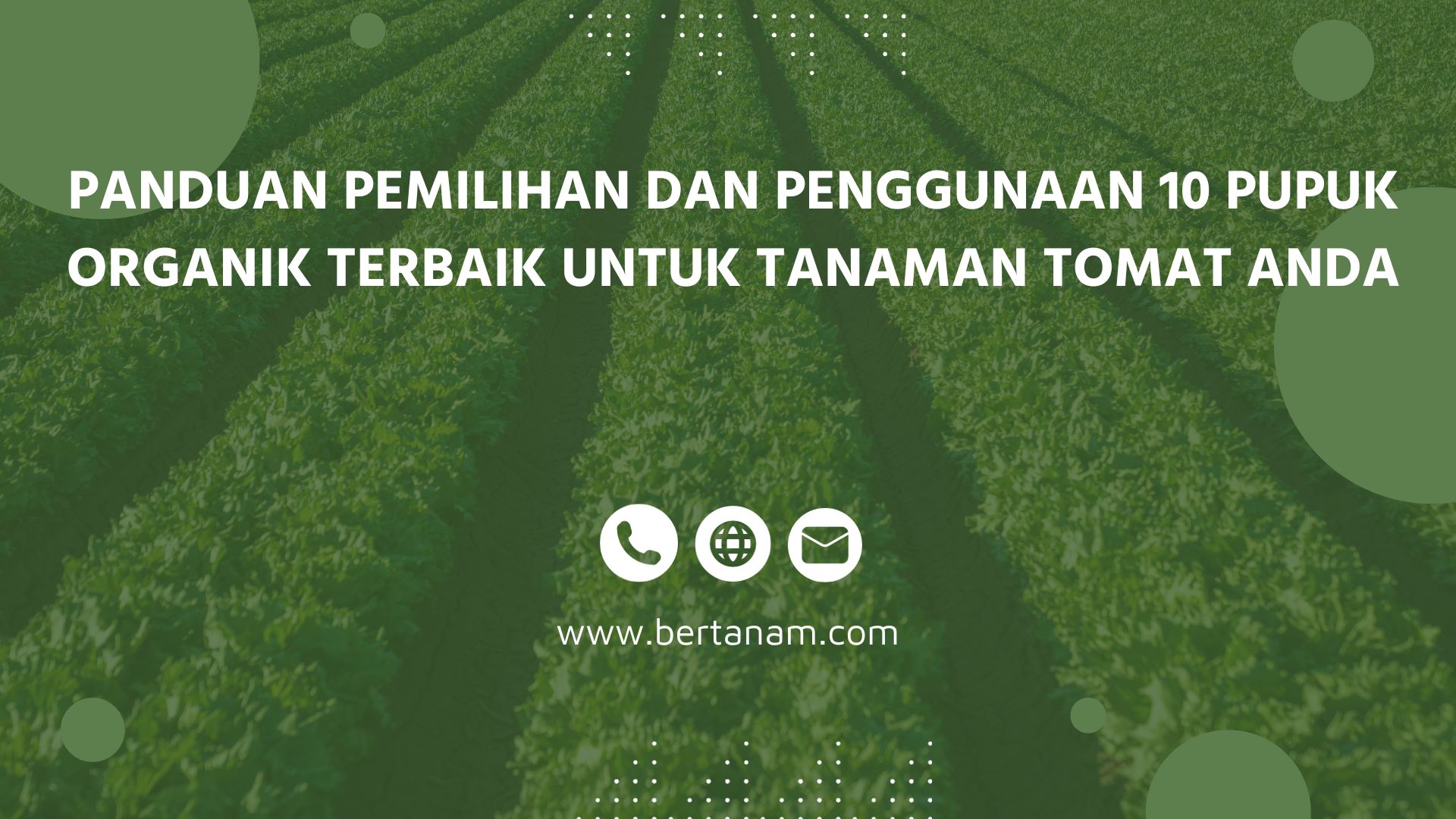 Panduan Pemilihan Dan Penggunaan 10 Pupuk Organik Terbaik Untuk Tanaman Tomat Anda Bertanam 1469