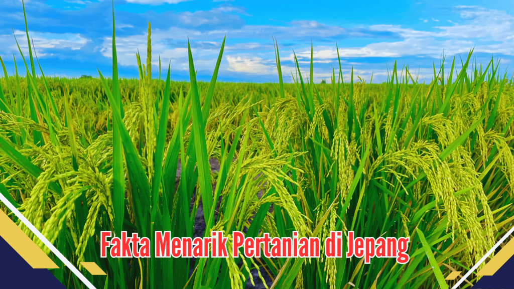 Fakta Menarik Pertanian di Jepang
