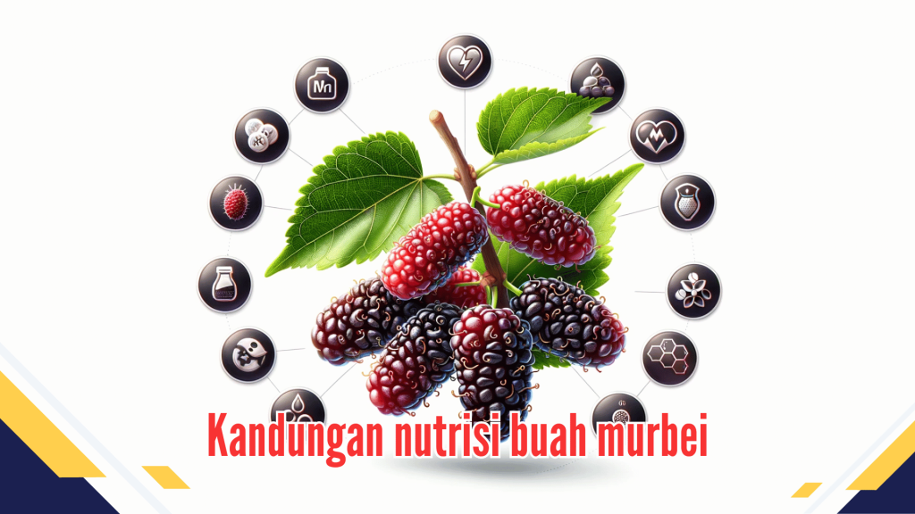 Kandungan nutrisi buah murbei