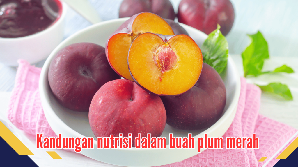 Kandungan nutrisi dalam buah plum merah