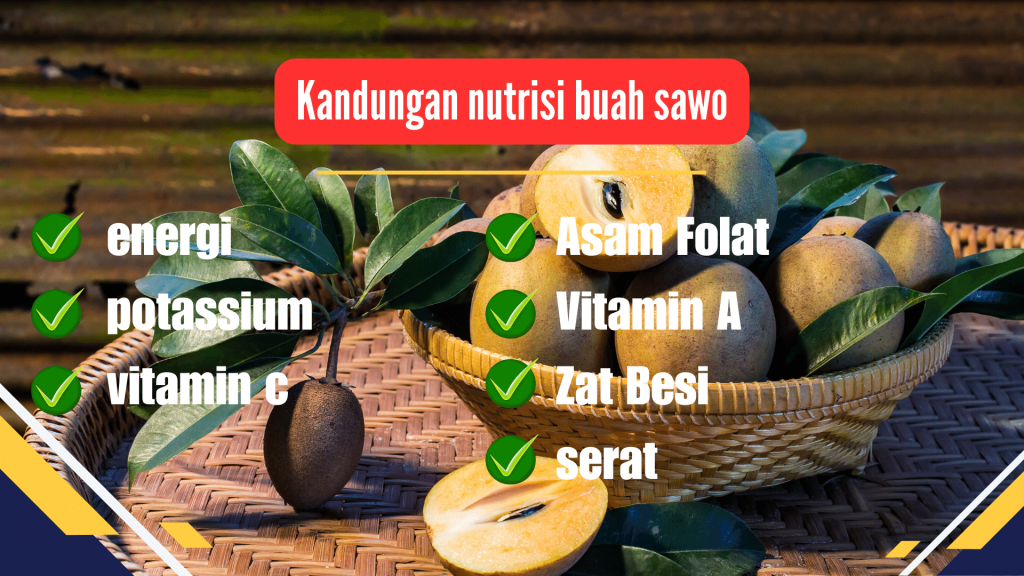 Kandungan nutrisi buah sawo