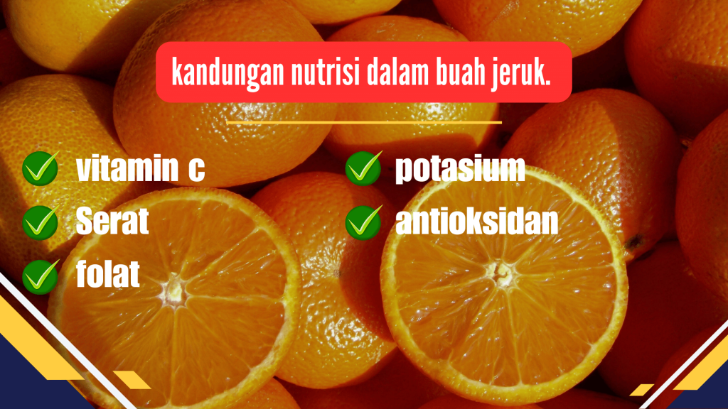kandungan nutrisi dalam buah jeruk.