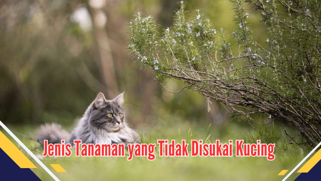 jenis Tanaman yang Tidak Disukai Kucing