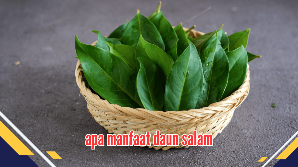 apa manfaat daun salam