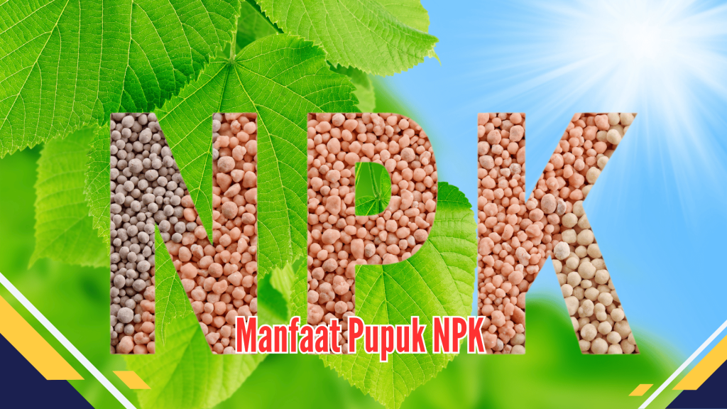 Manfaat Pupuk NPK