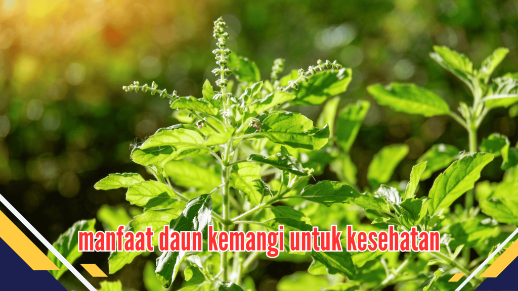 Manfaat Daun Kemangi 