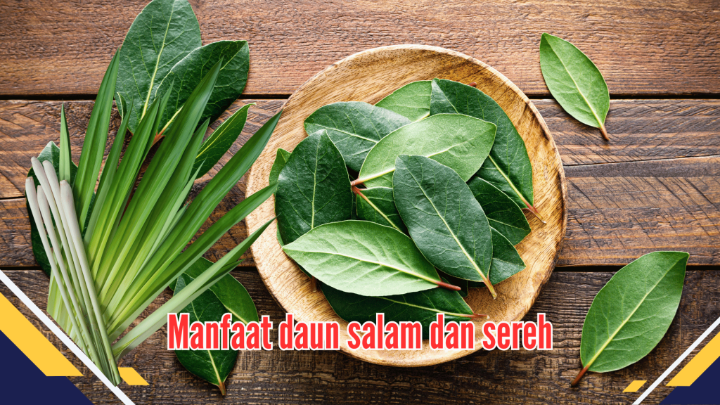 Manfaat Daun Salam dan Sereh