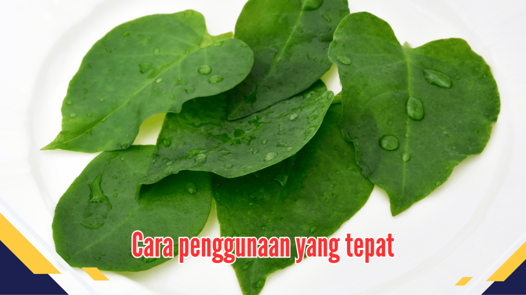 Cara penggunaan yang tepat