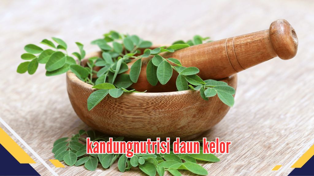 Komposisi Nutrisi daun kelor