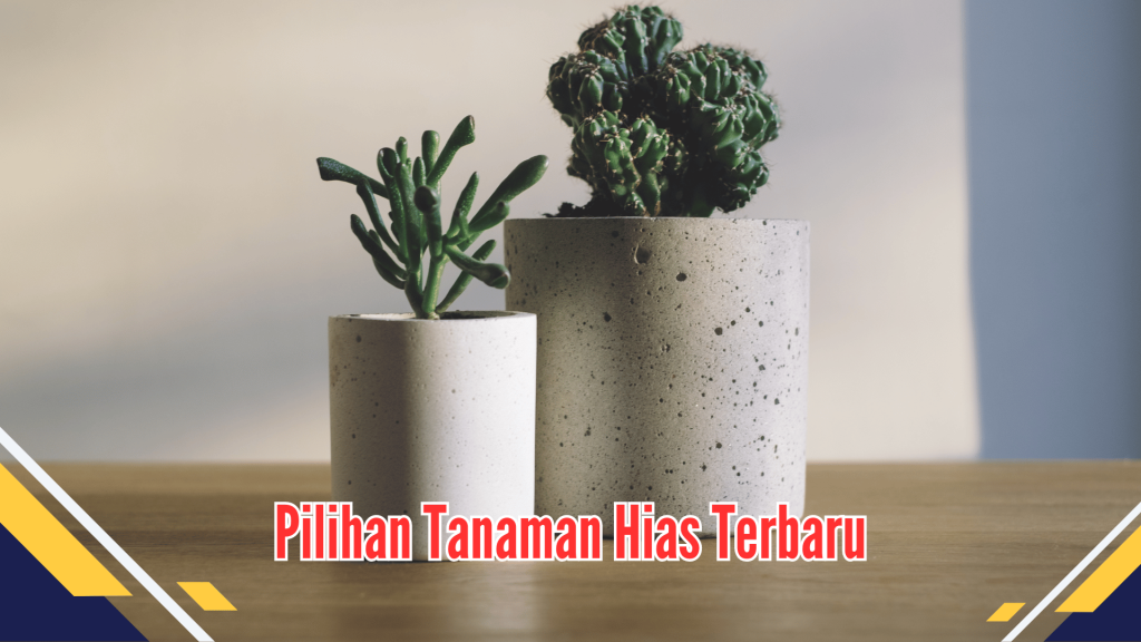 Pilihan Tanaman Hias Terbaru