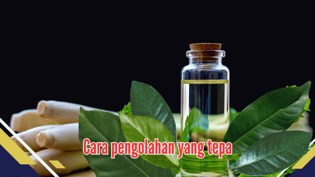 Cara pengolahan yang tepat