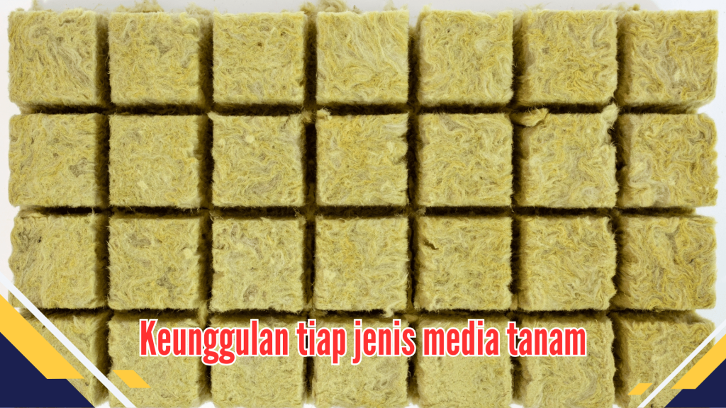 Keunggulan tiap jenis media tanam