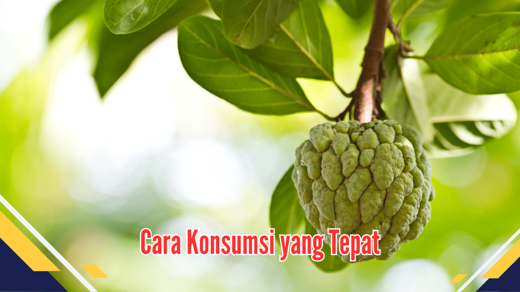 Cara Konsumsi yang Tepat