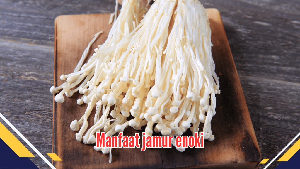 Manfaat jamur enoki