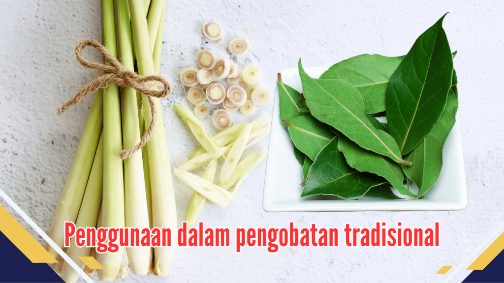 Penggunaan dalam pengobatan tradisional