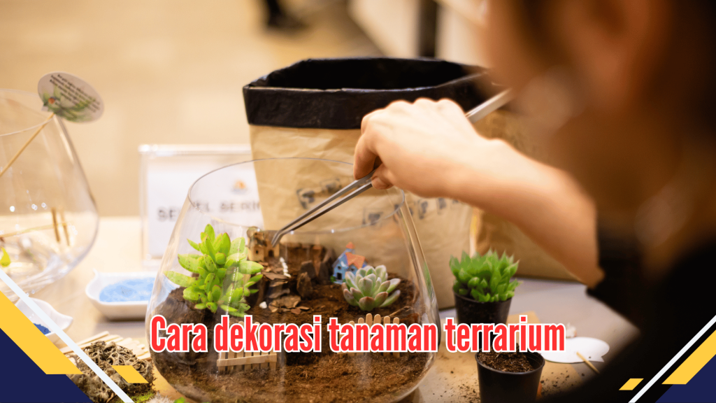 Cara dekorasi tanaman terrarium