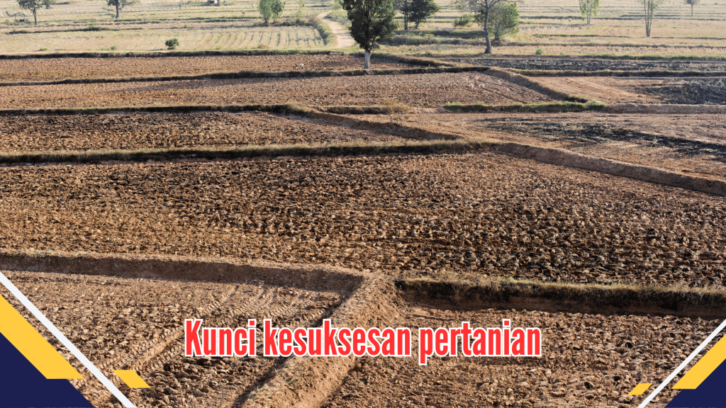 Kunci kesuksesan pertanian