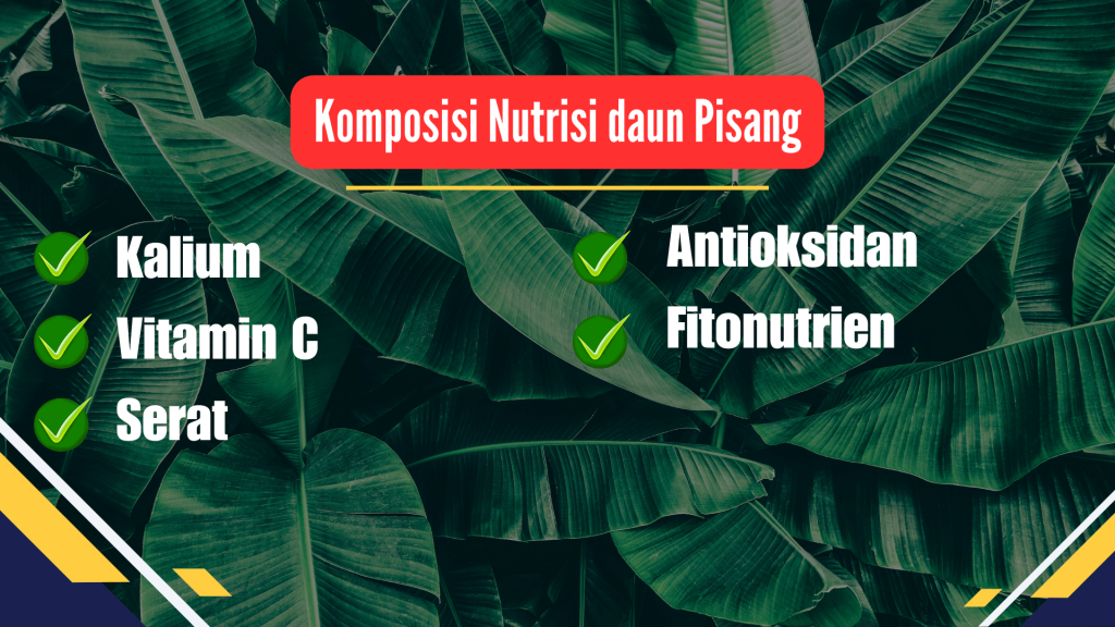 Kandungan Nutrisi daun pisang