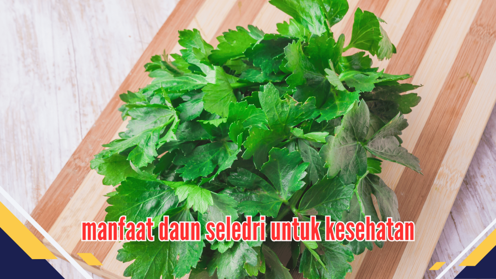 Manfaat Daun Seledri