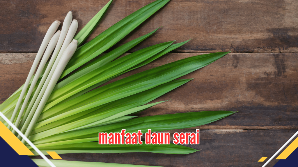 manfaat daun serai