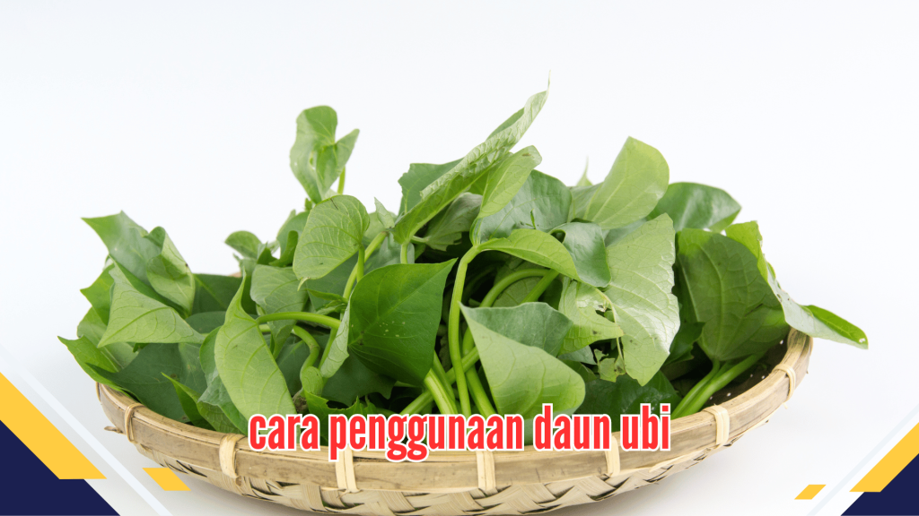 Cara penggunaan daun ubi