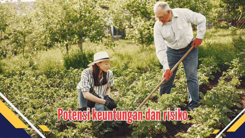 Potensi keuntungan dan risiko